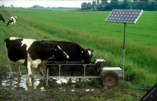 Agricultura y Ganadería